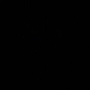 Meet your Posher, Diandrr